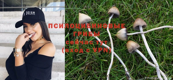 героин Алексеевка